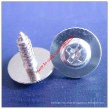 316 Modified Truss Head Self Tapping Screw Wit Drilling Technic